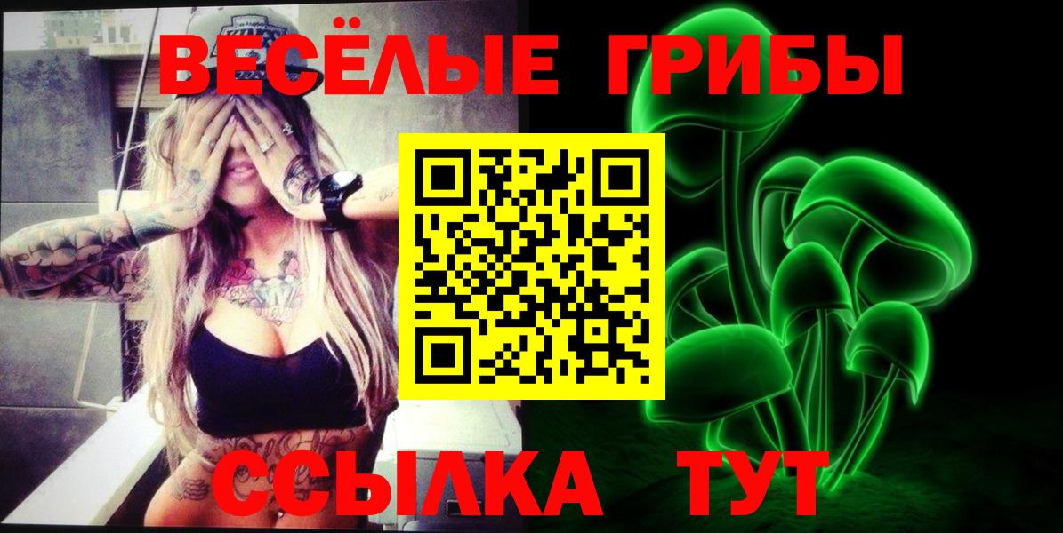Псилоцибиновые грибы прущие грибы  Галлюциногенные грибы мухоморы  Ефремов  дарнет шоп  Вход с VPN 